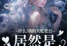 男女主人公李阿曼敖光小说什么?我的失忆老公居然是东海龙王免费阅读-红梅文学