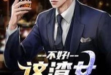 不好!这渣女要虐死了小说,不好!这渣女要虐死了在线阅读-红梅文学