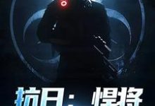 林放小说叫什么(抗日:悍将,他是个鬼子?免费阅读)-红梅文学