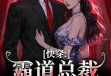 快穿:霸道总裁别太爱叶兮禾,快穿:霸道总裁别太爱小说免费阅读-红梅文学