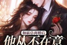 无删减版《和霸总离婚后,他从不在意变求复婚》免费阅读-红梅文学