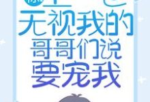 主人公叫苏弄弄顾霁的小说哪里免费看-红梅文学