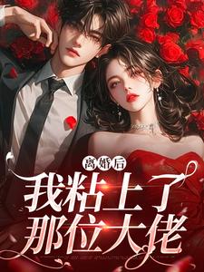 主人公陆骁舒愿小说离婚后，我粘上了那位大佬在线阅读