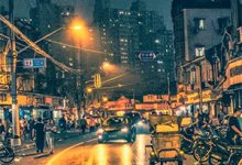 你选的白月光,离婚你又悔断肠小说全文哪里可以免费看?-红梅文学