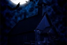 完结版《遥知夏花秋雨落》免费阅读-红梅文学