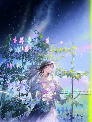 贺枭时晚吟小说《极光与囚笼》在线阅读