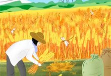 免费在线阅读不生淮南不知夏小说的正规网站有哪些?-红梅文学