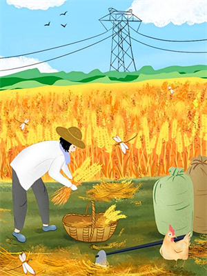 多妻多福，从一介布衣到科举状元小说的免费阅读版本在哪里可以找到？