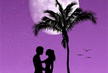 完结版《夏色深深》章节目录在线阅读-红梅文学