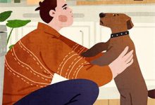 小说《我摘星辰缀她衣》章节免费阅读-红梅文学